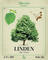Linden