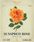 Sunsprite Rose