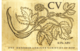 CV