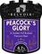 Peacock's Glory