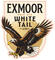 White Tail