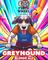 Greyhound