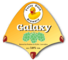 Galaxy