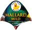 Mallard Mild