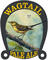 Wagtail