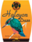 Halcyon Daze