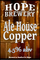 Ale House Copper