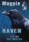 Raven