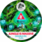 Jungle is Massive