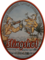 Slingshot