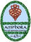 Amphora