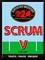 Scrum V