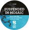 Suspended In Mosaic
