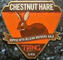 Chestnut Hare