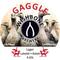 Gaggle
