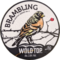 Brambling