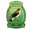Wheatear